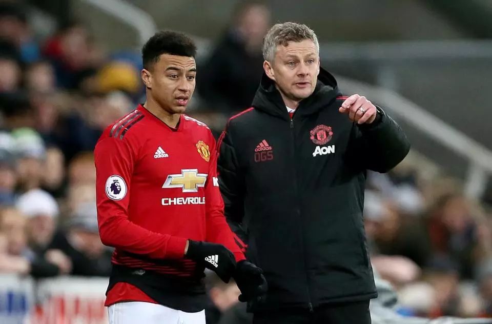 在主場以2 在主場以2